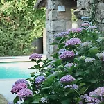 Le Petit Mas Des Hirondelles